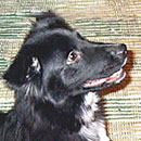 Marni was adopted in 2003
